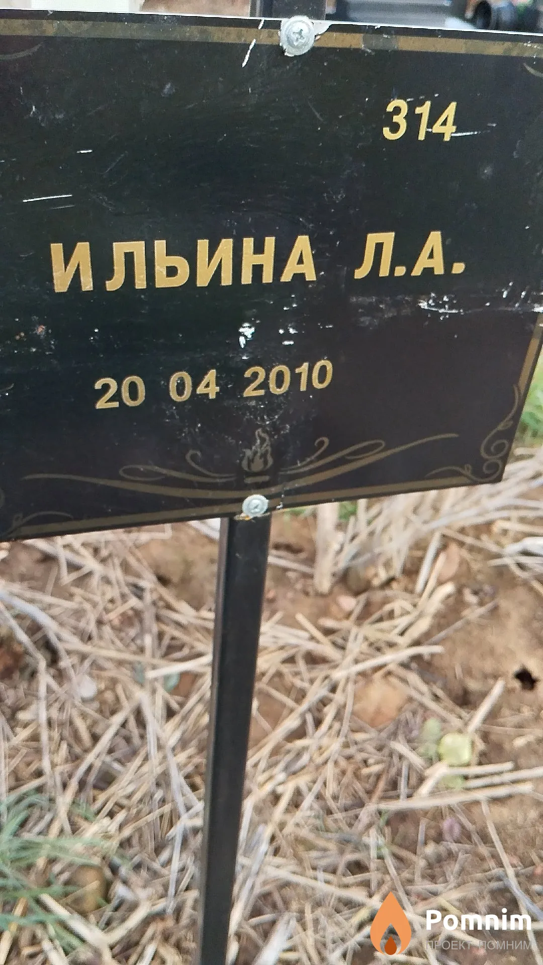 Ильина Л. А.