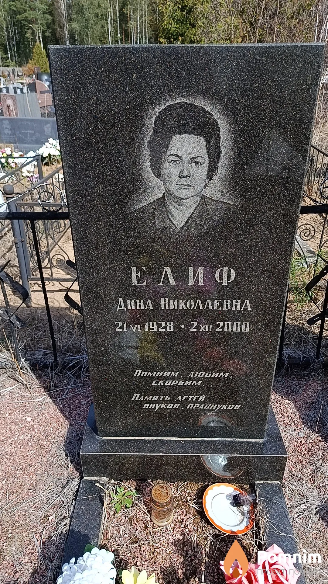 Елиф Дина Николаевна