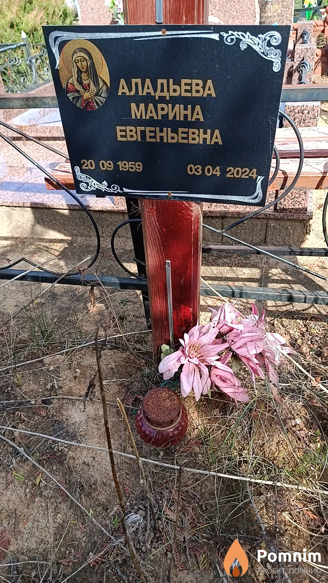 Аладьева Марина Евгеньевна