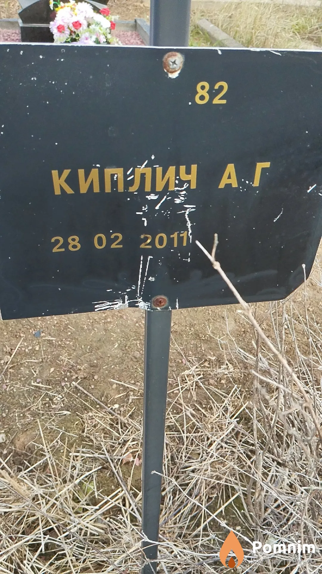 Киплич А Г