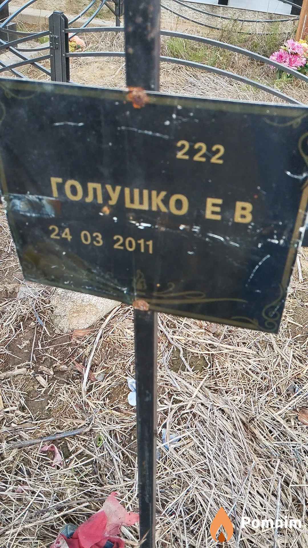 Голушко Е В