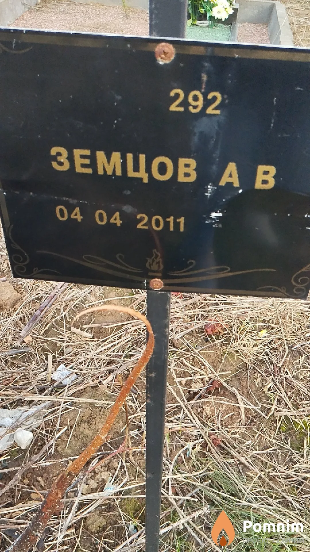 Земцов А В