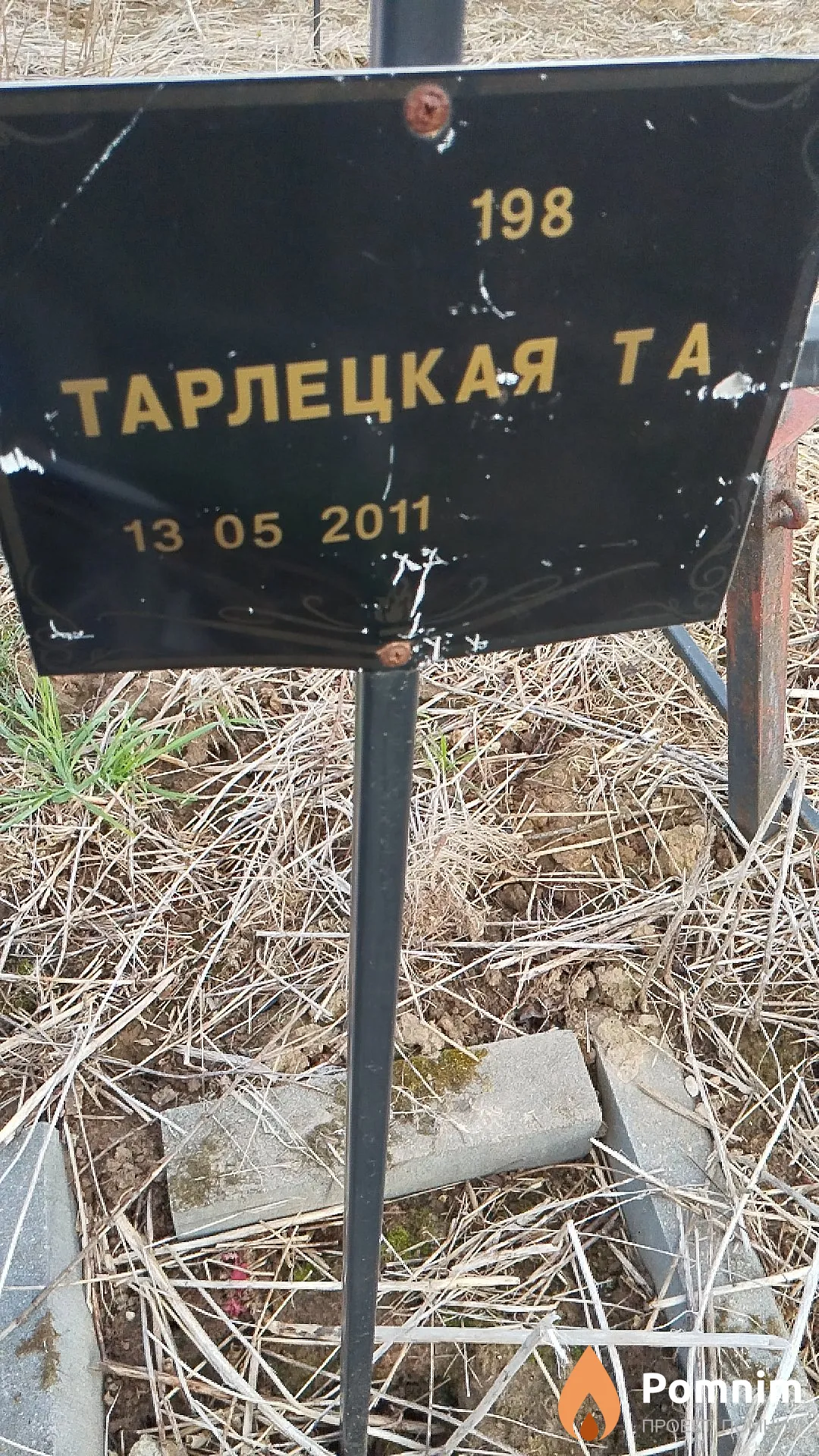 Тарлецкая Т А