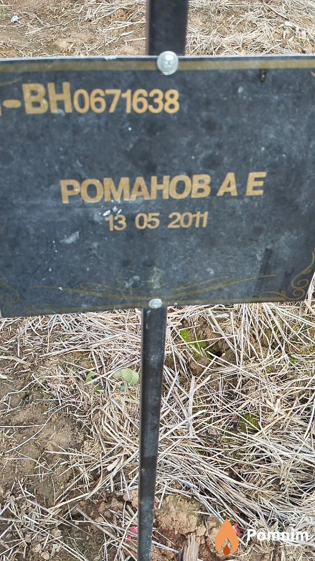 Романов А Е