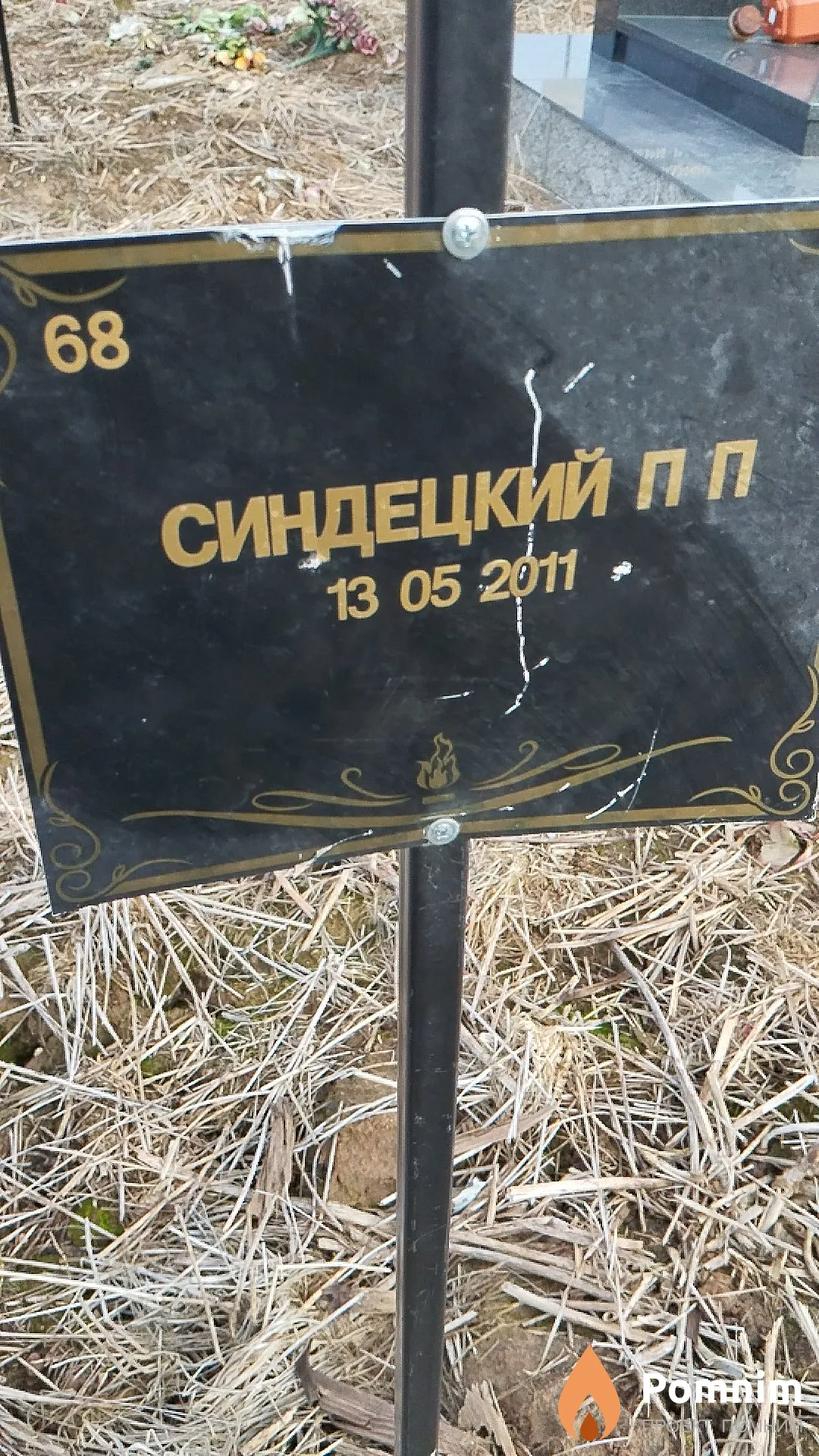 Синдецкий П П