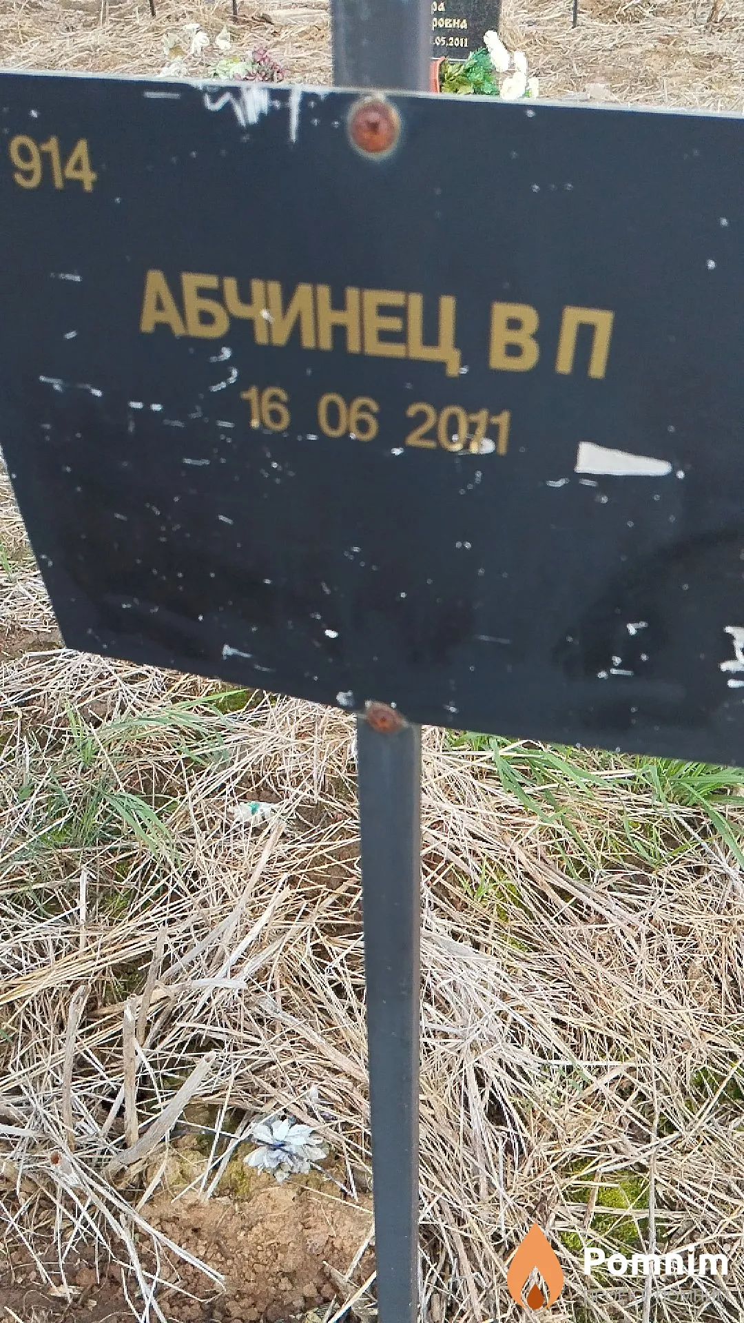 Абчинец В П