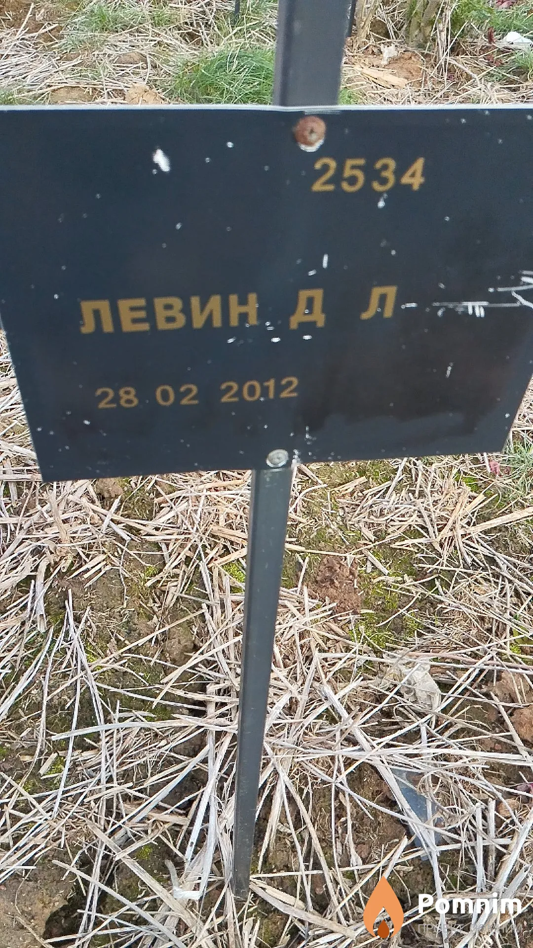 Левин Д Л