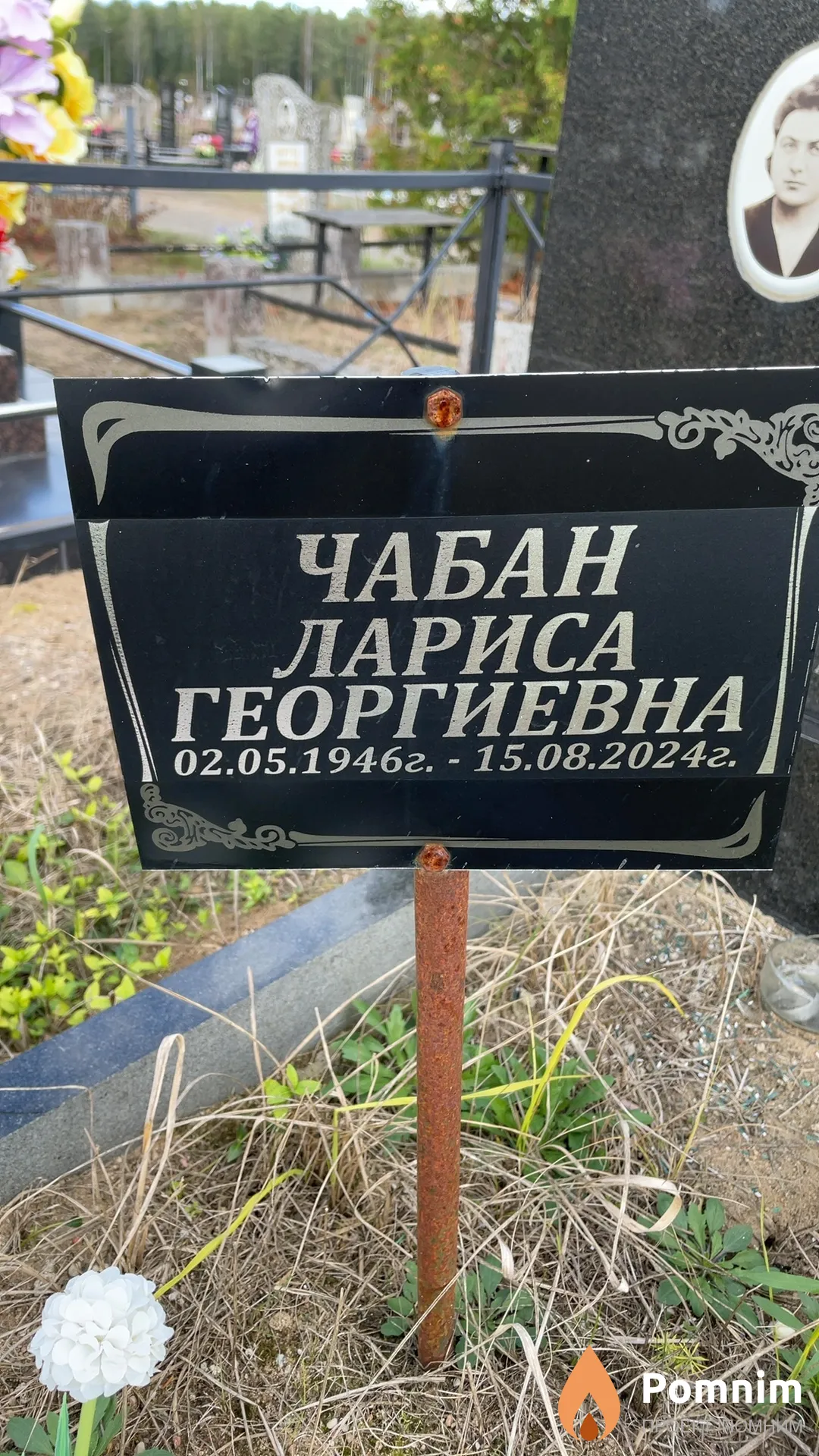 Чабан Лариса Георгиевна