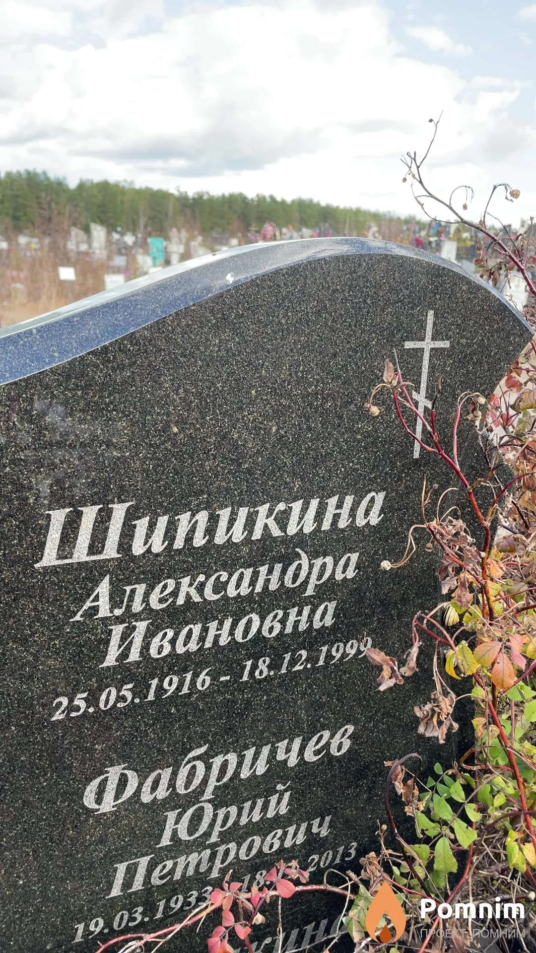 Шипикина Александра Ивановна
