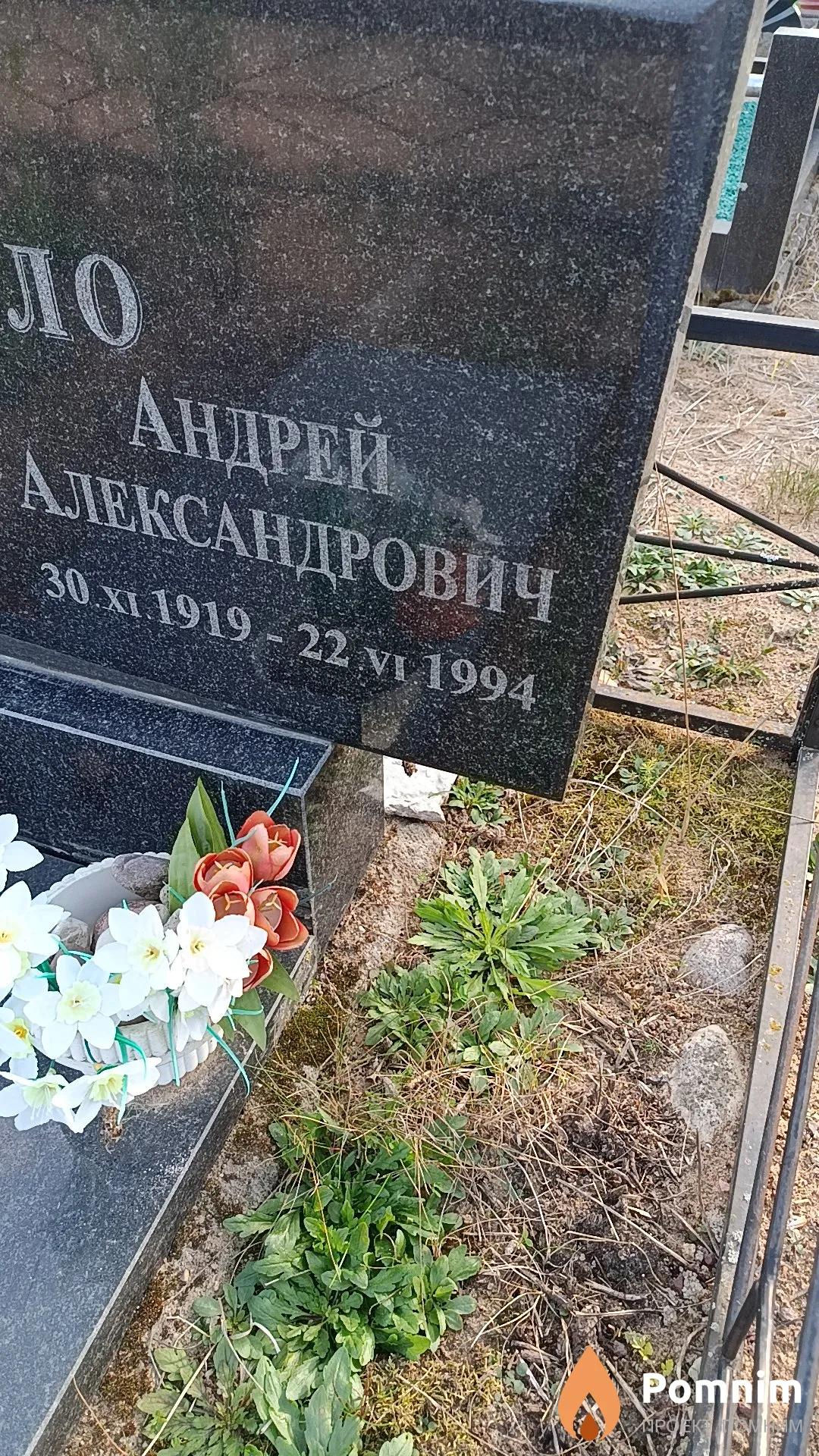 Тукало Андрей Александрович