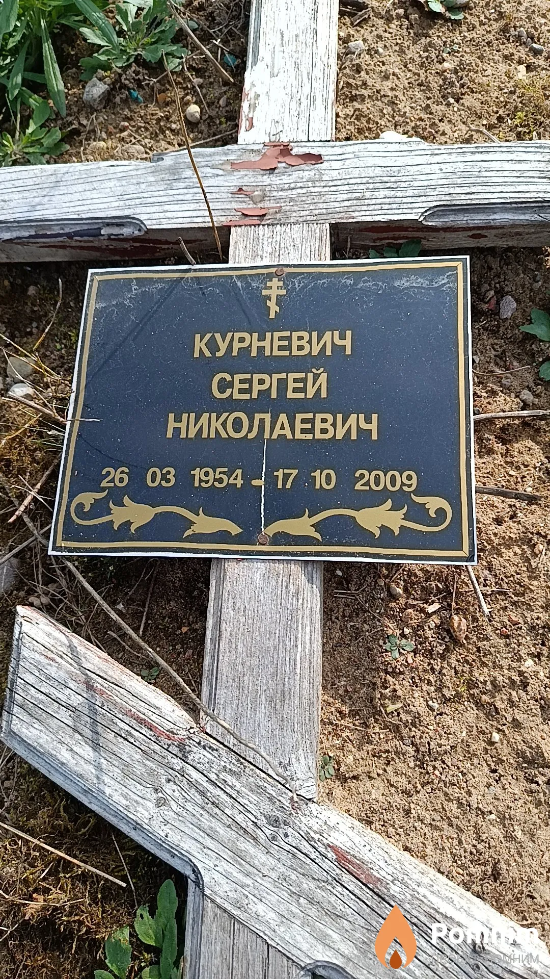 Курневич Сергей Николаевич