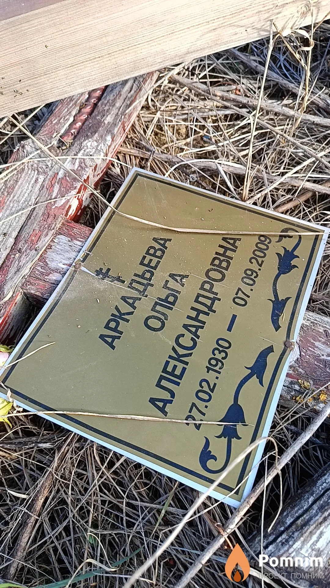 Аркадьева Ольга Александровна