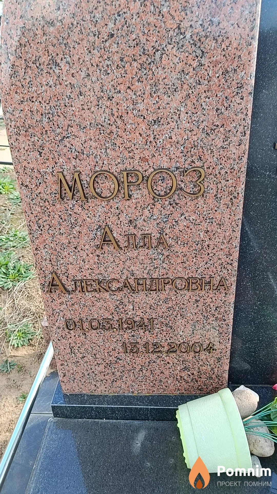 Мороз Алла Александровна