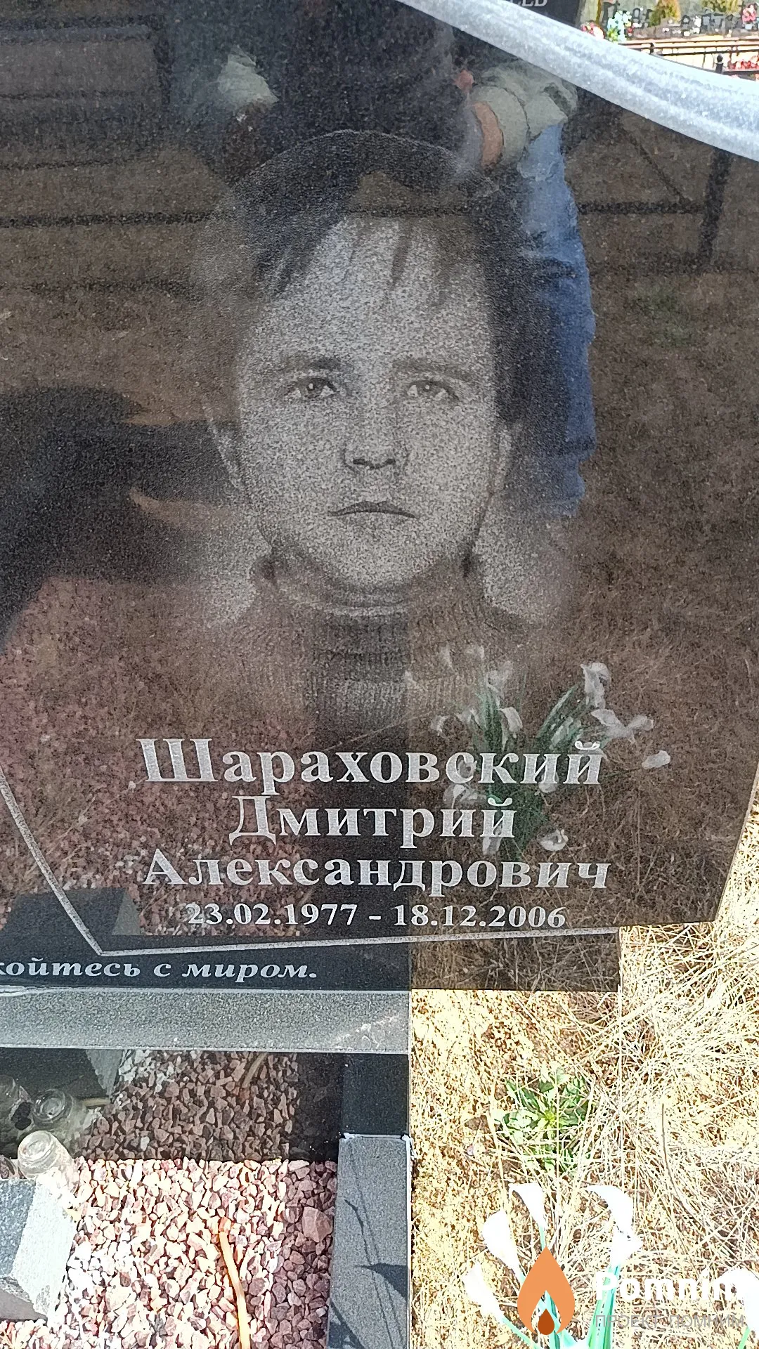Шараховский Дмитрий Александрович