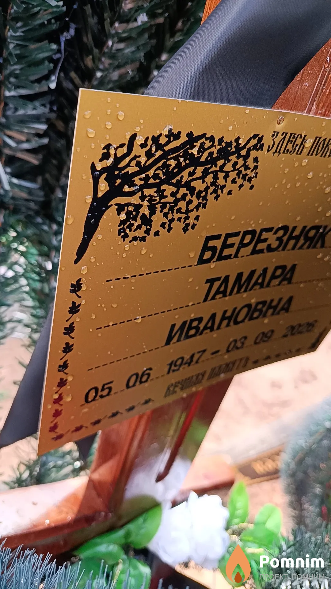 Березняк Тамара Ивановна