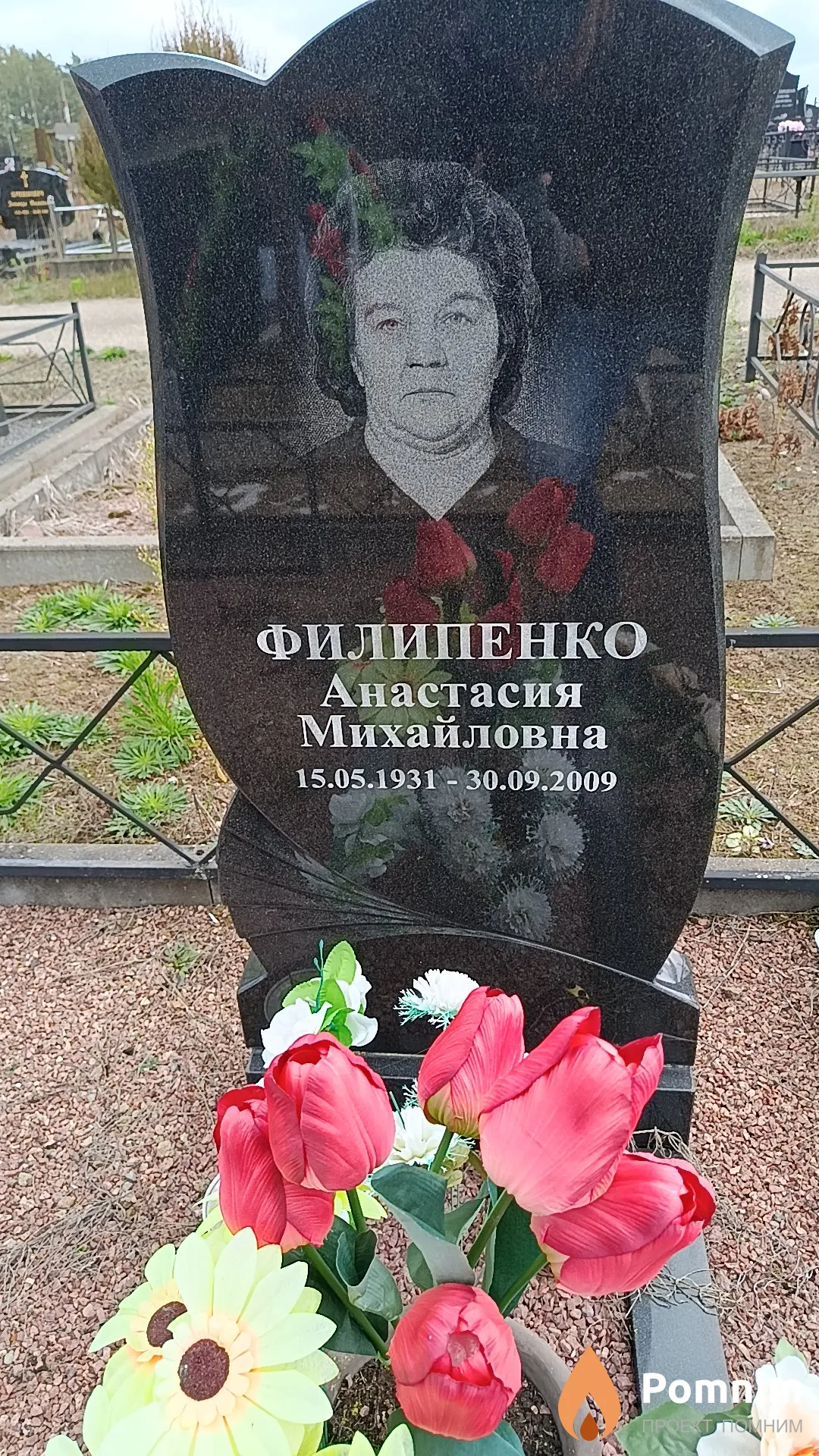 Филипенко Анастасия Михайловна