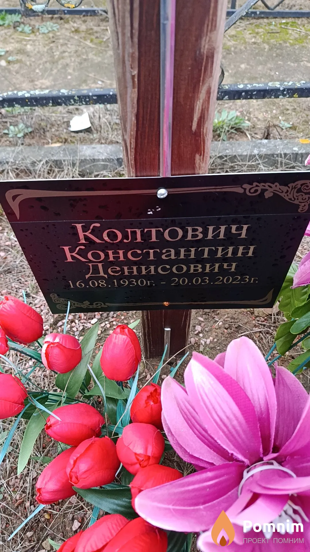 Колтович Константин Денисович