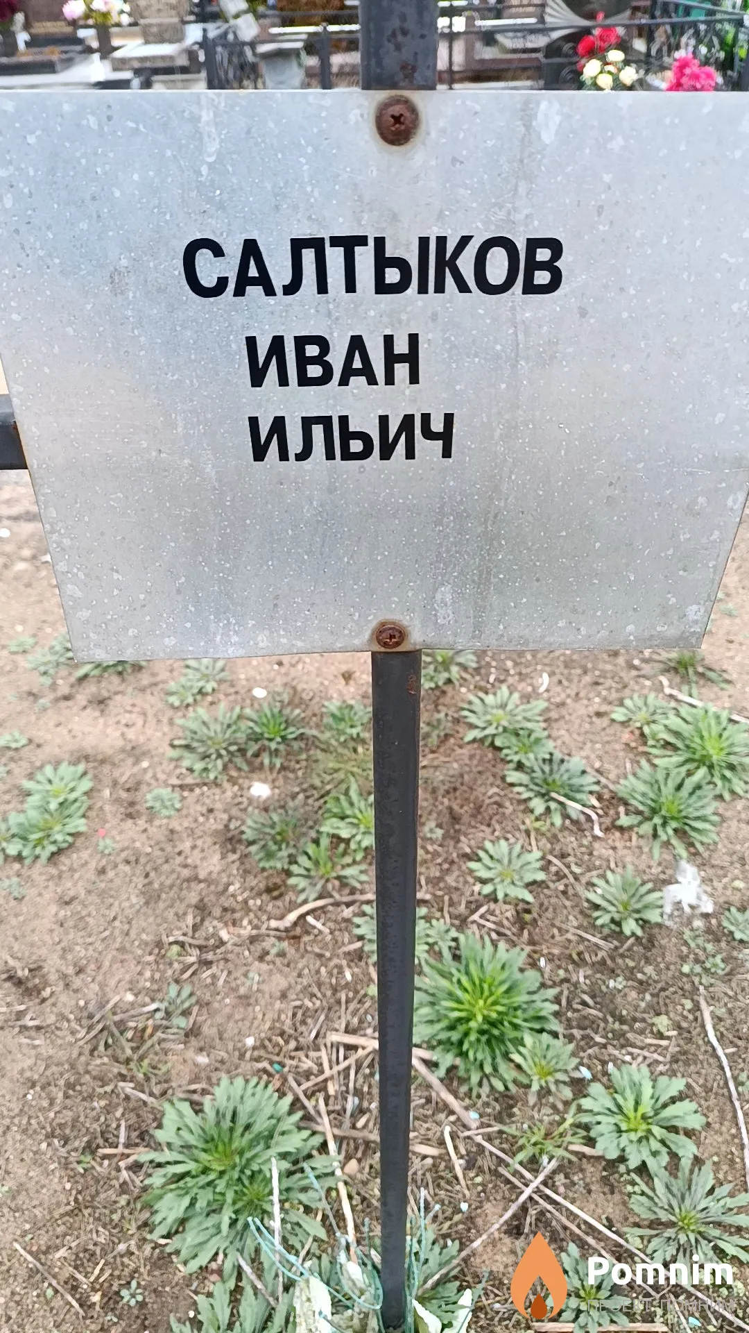 Салтыков Иван Ильич