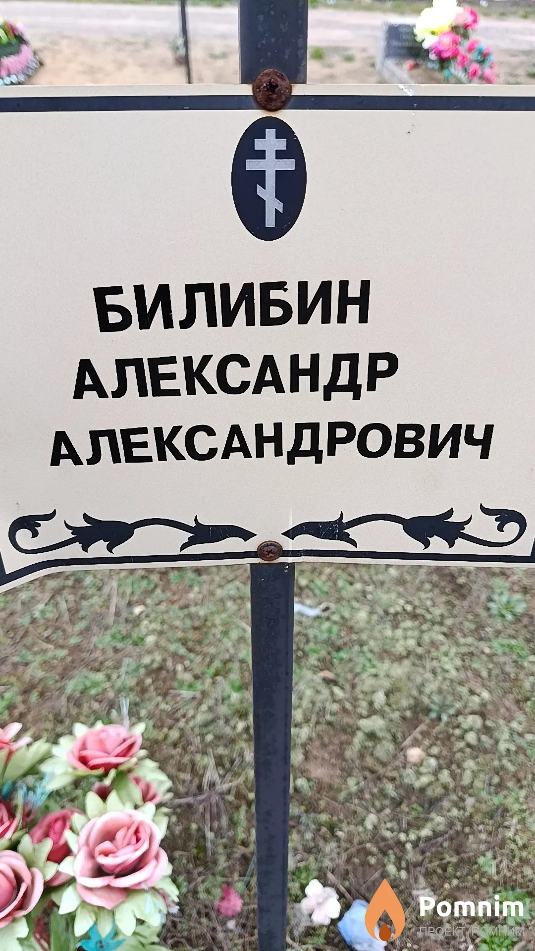 Билибин Александр Александрович