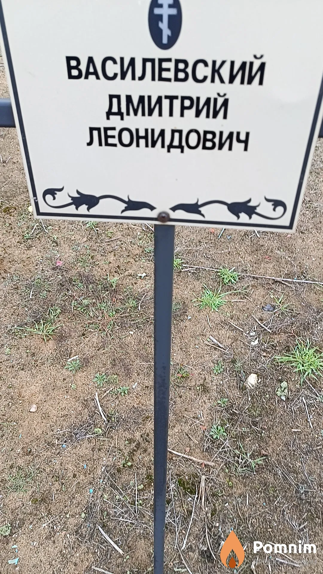Василевский Дмитрий Леонидович
