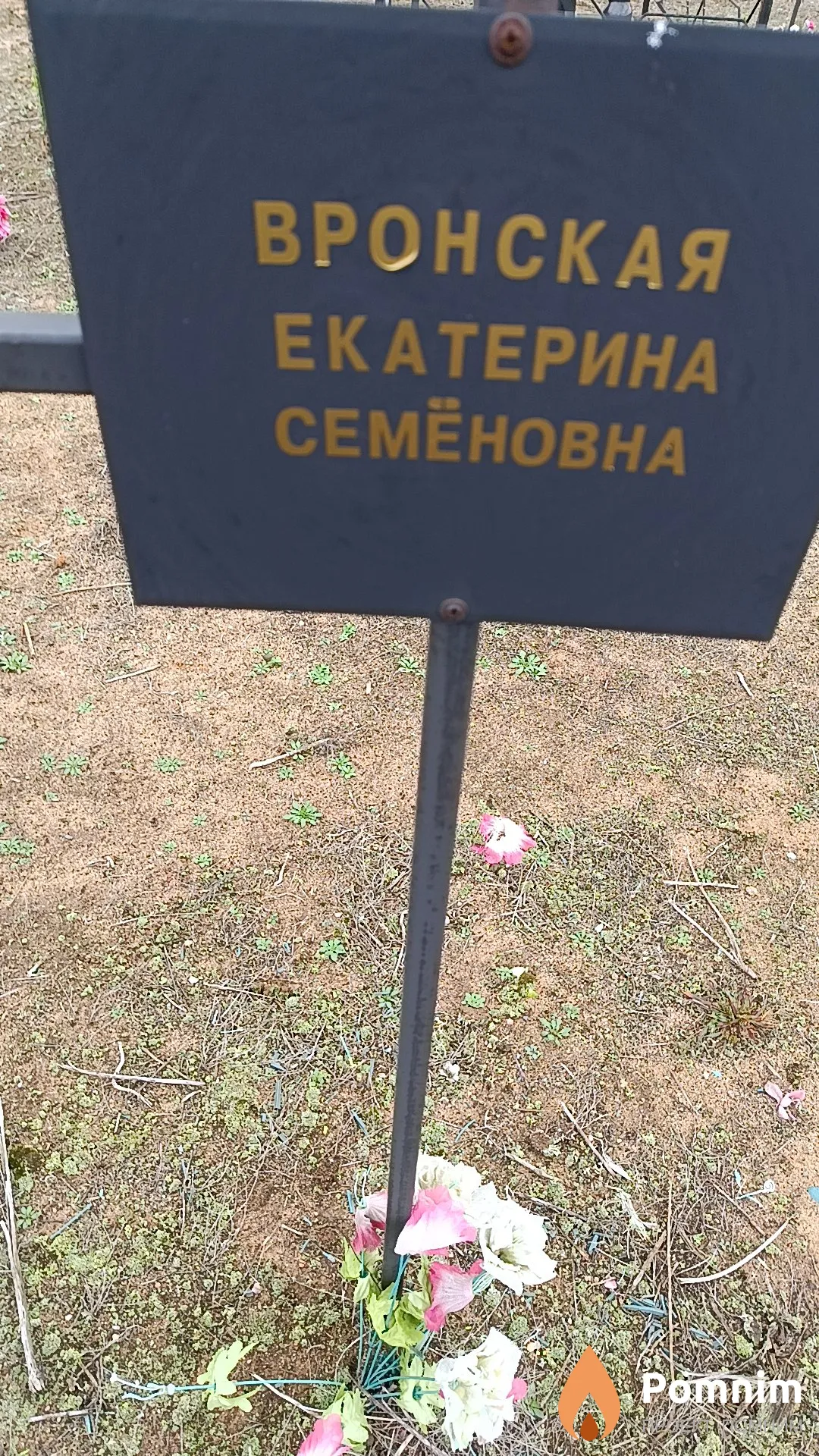 Вронская Екатерина Семёновна
