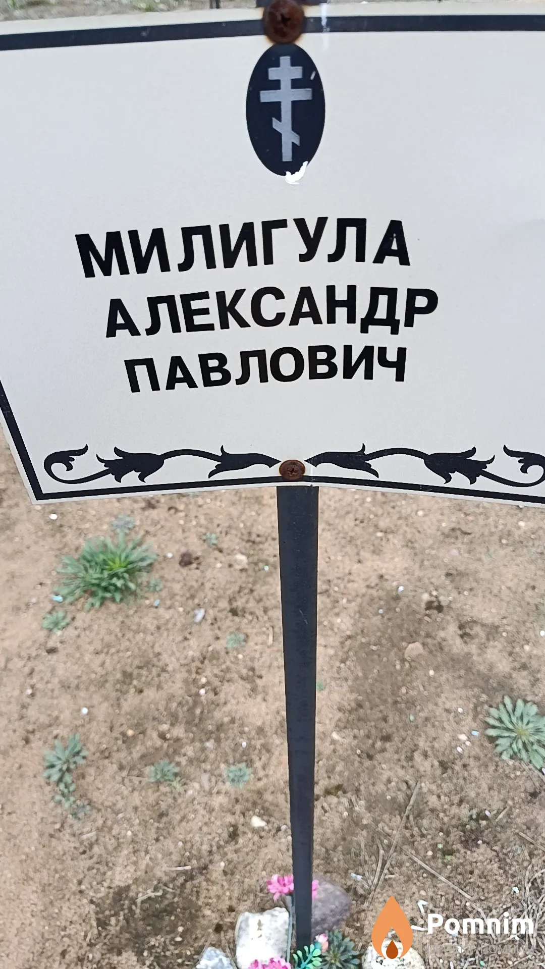 Милигула Александр Павлович
