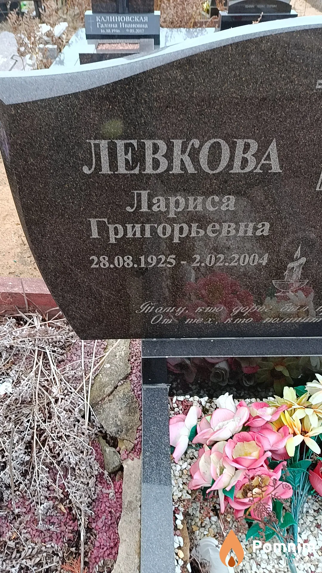 Левкова Лариса Григорьевна