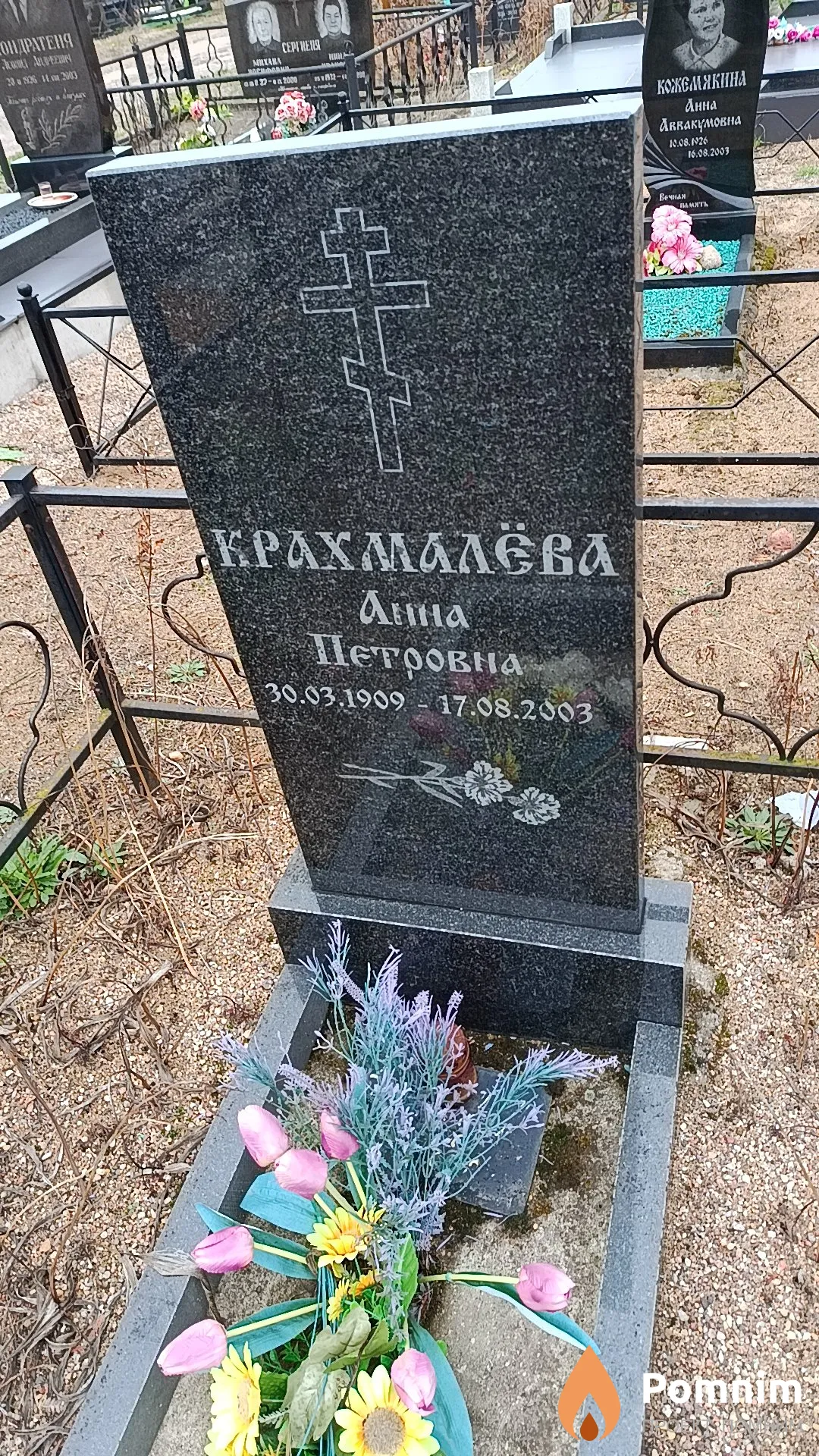 Крахмалёва Анна Петровна
