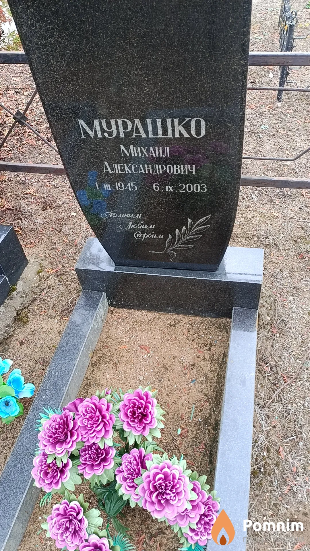 Мурашко Михаил Александрович