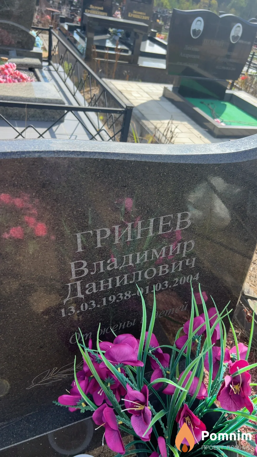 Гринев Владимир Данилович
