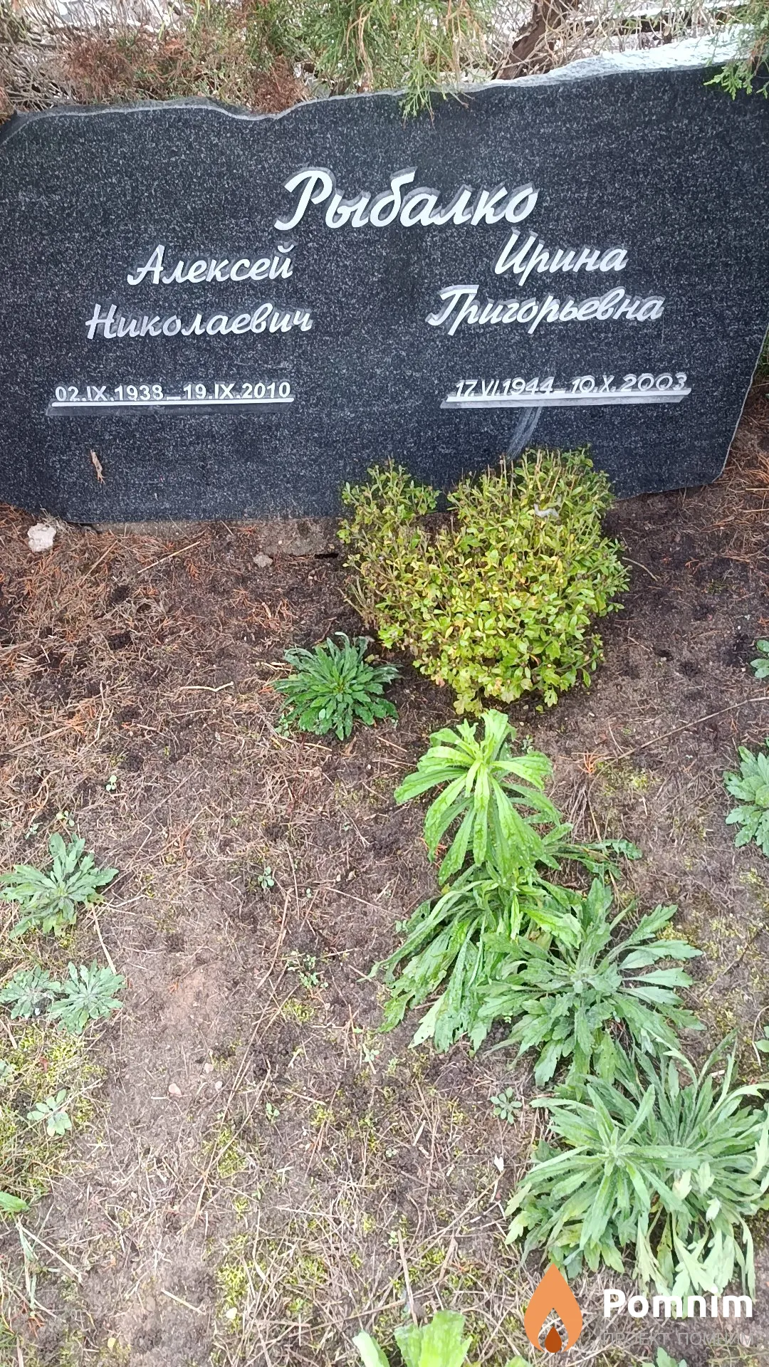 Рыбалко Алексей Николаевич