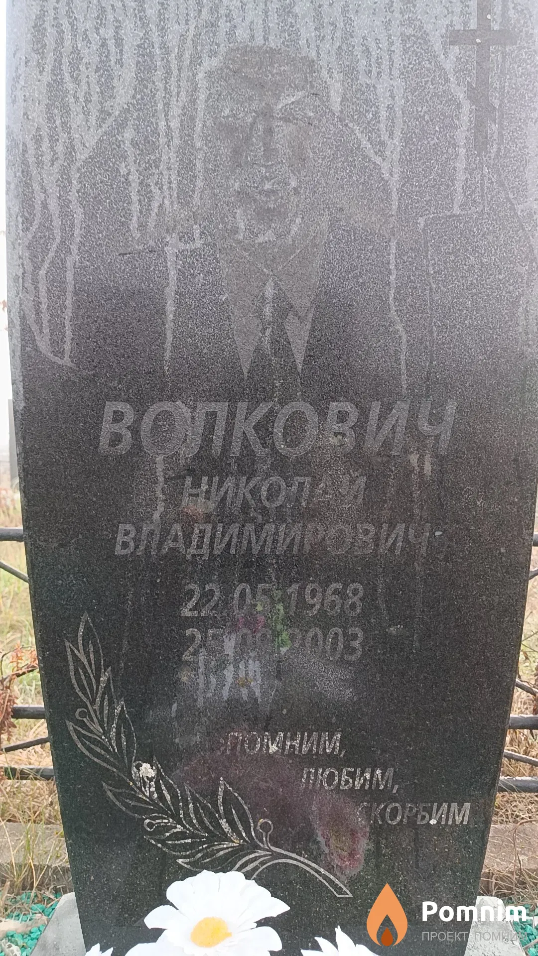 Волкович Николай Владимирович