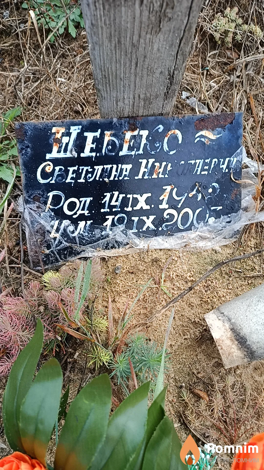 Шебеко Светлана Николаевна