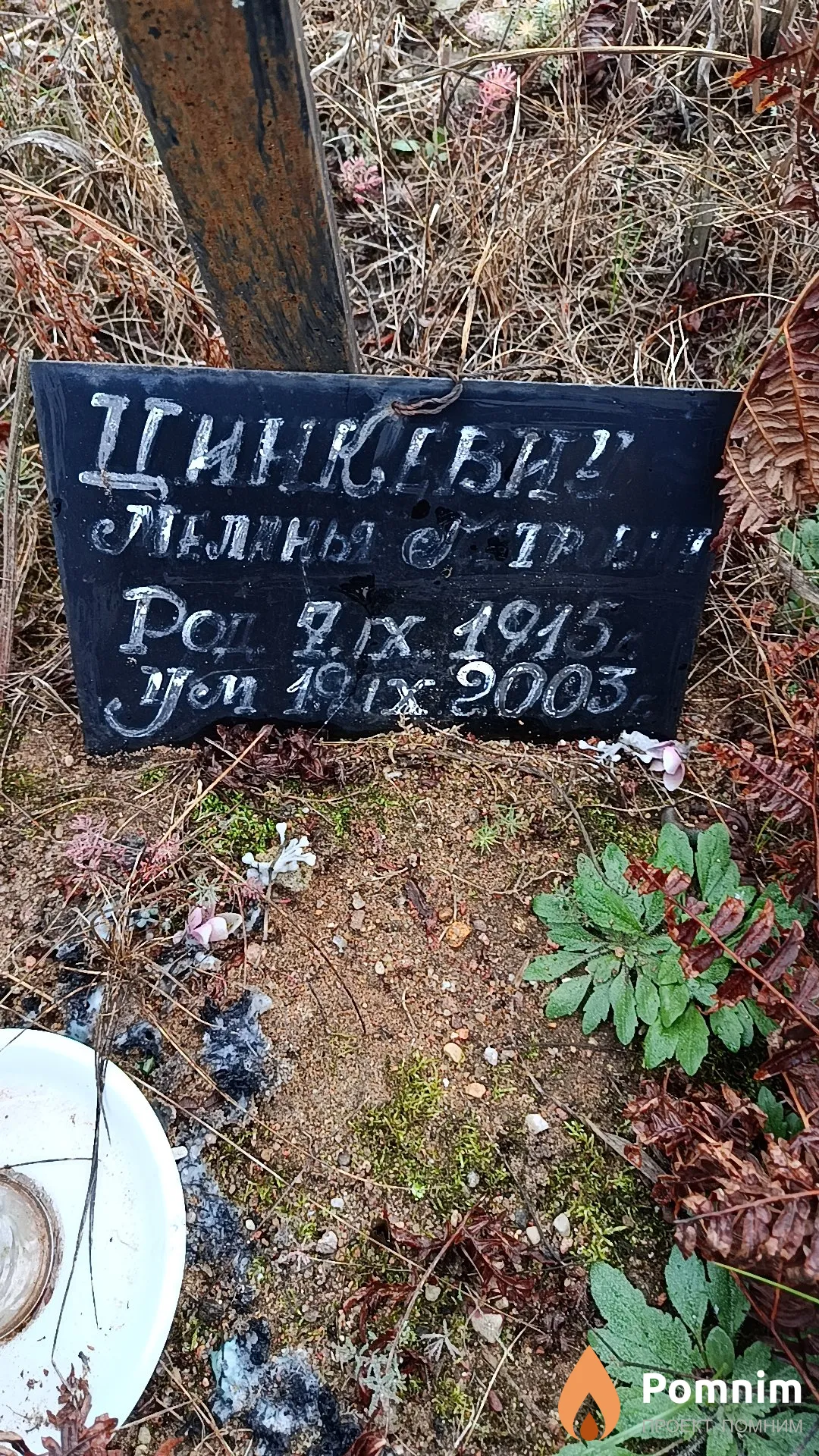 Цинкевич Наталья Петрович