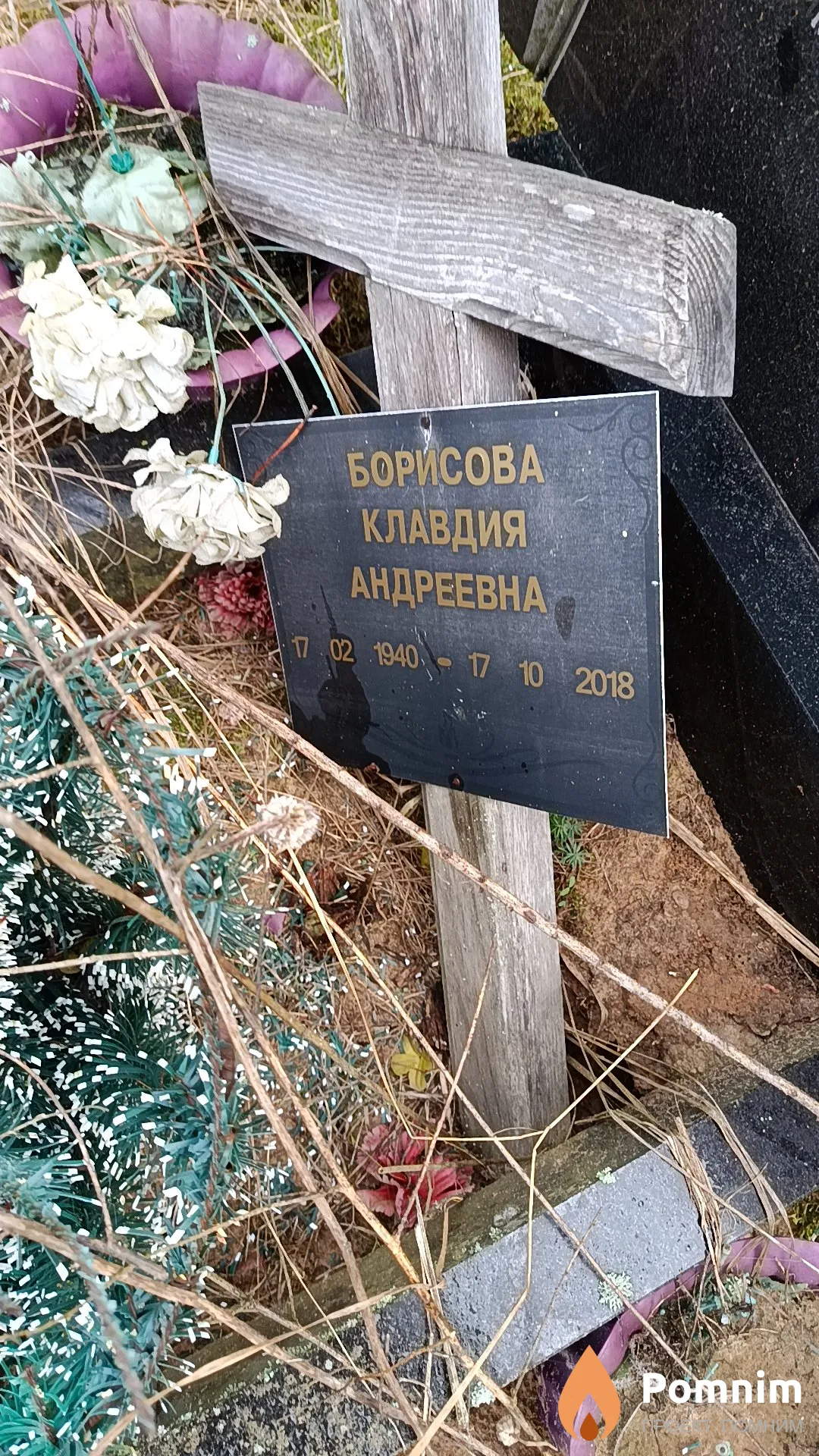 Борисова Клавдия Андреевна
