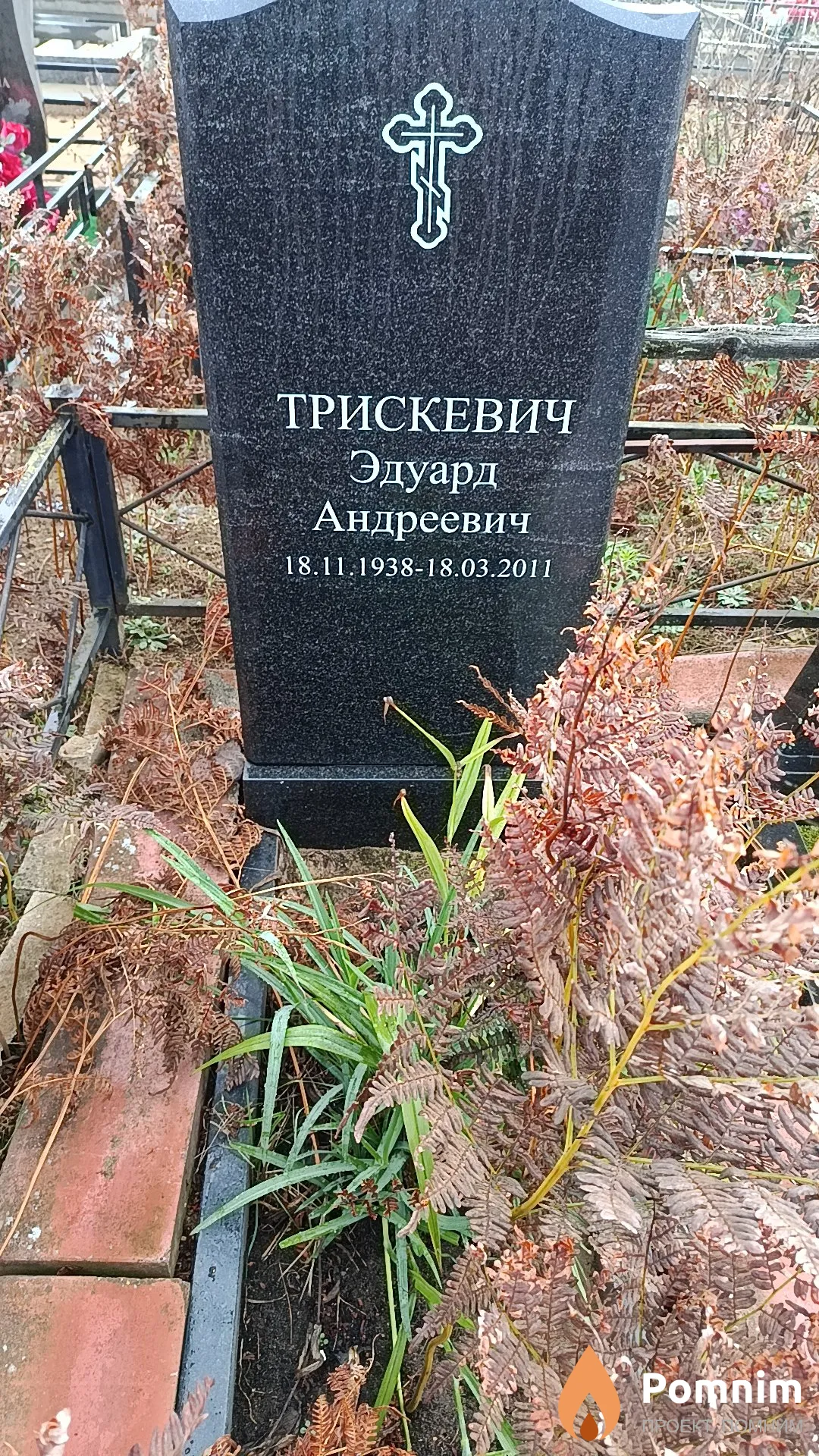Трискевич Эдуард Андреевич
