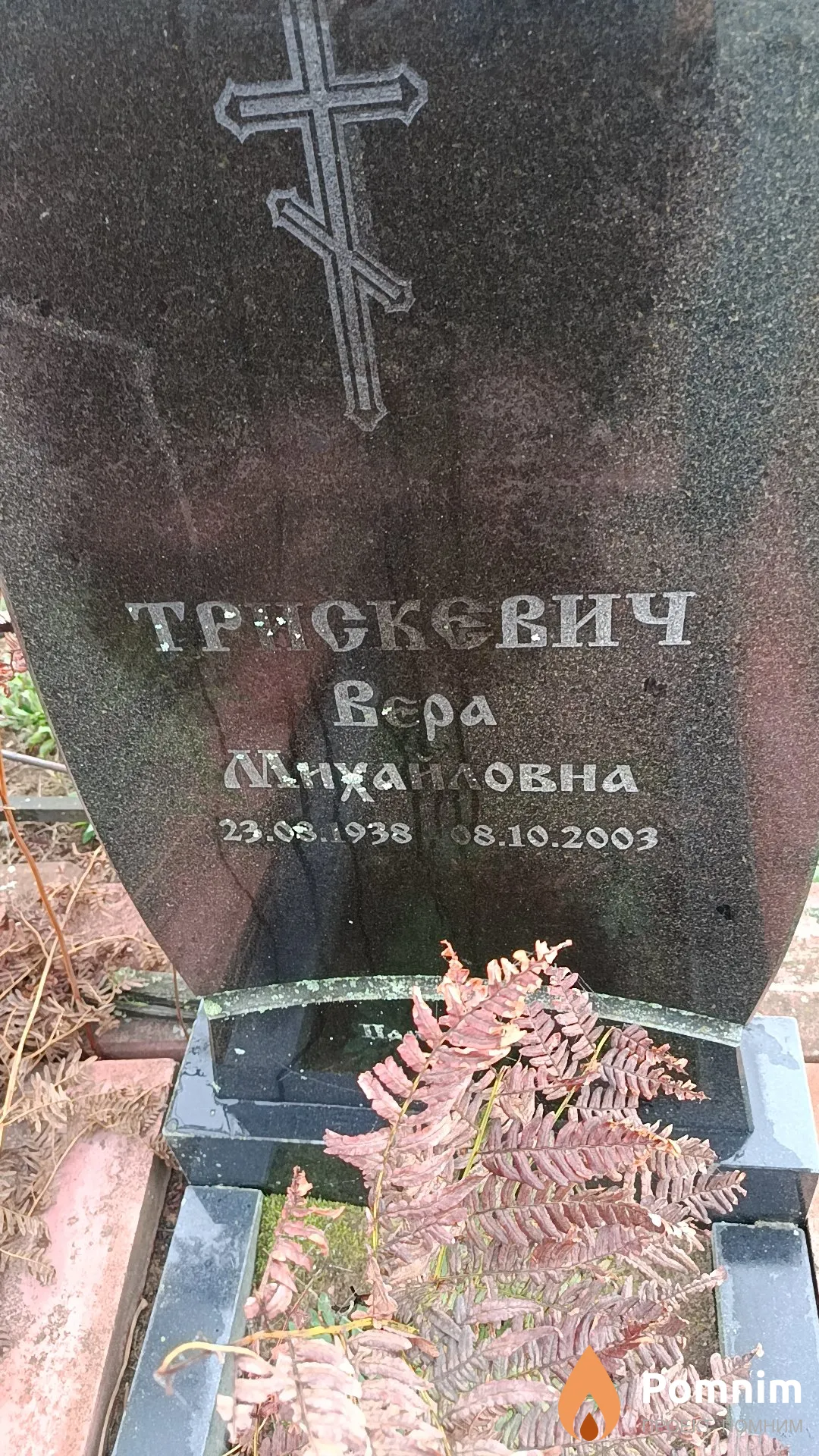 Трискевич Вера Михайловна