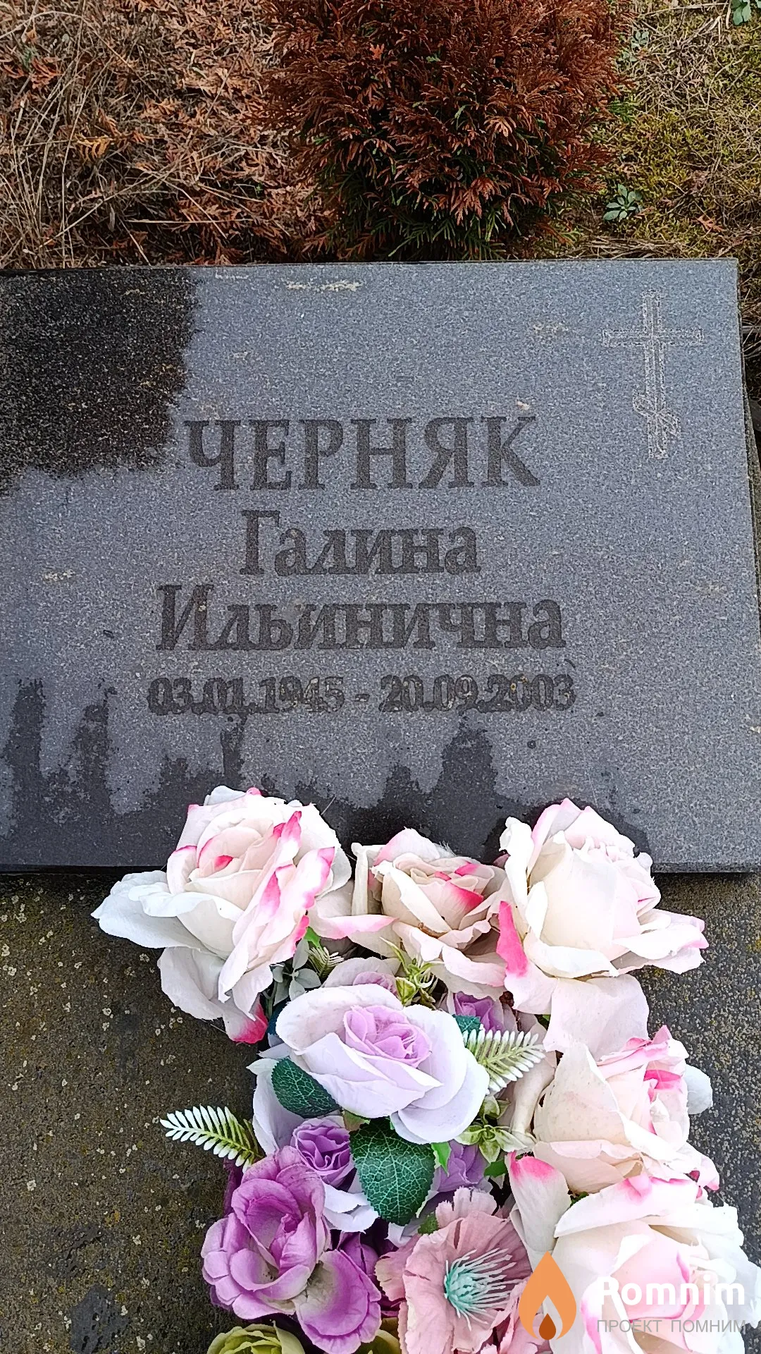 Черняк Галина Ильинична