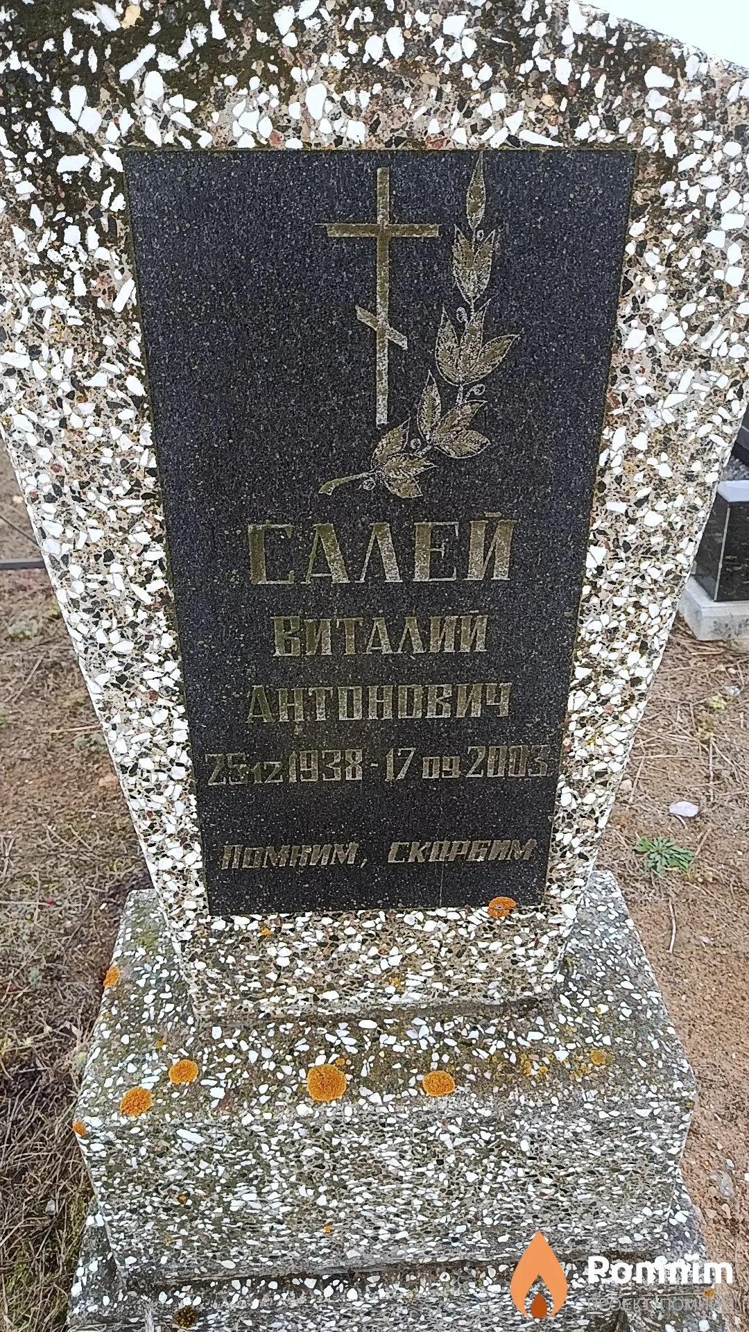 Салей Виталий Антонович