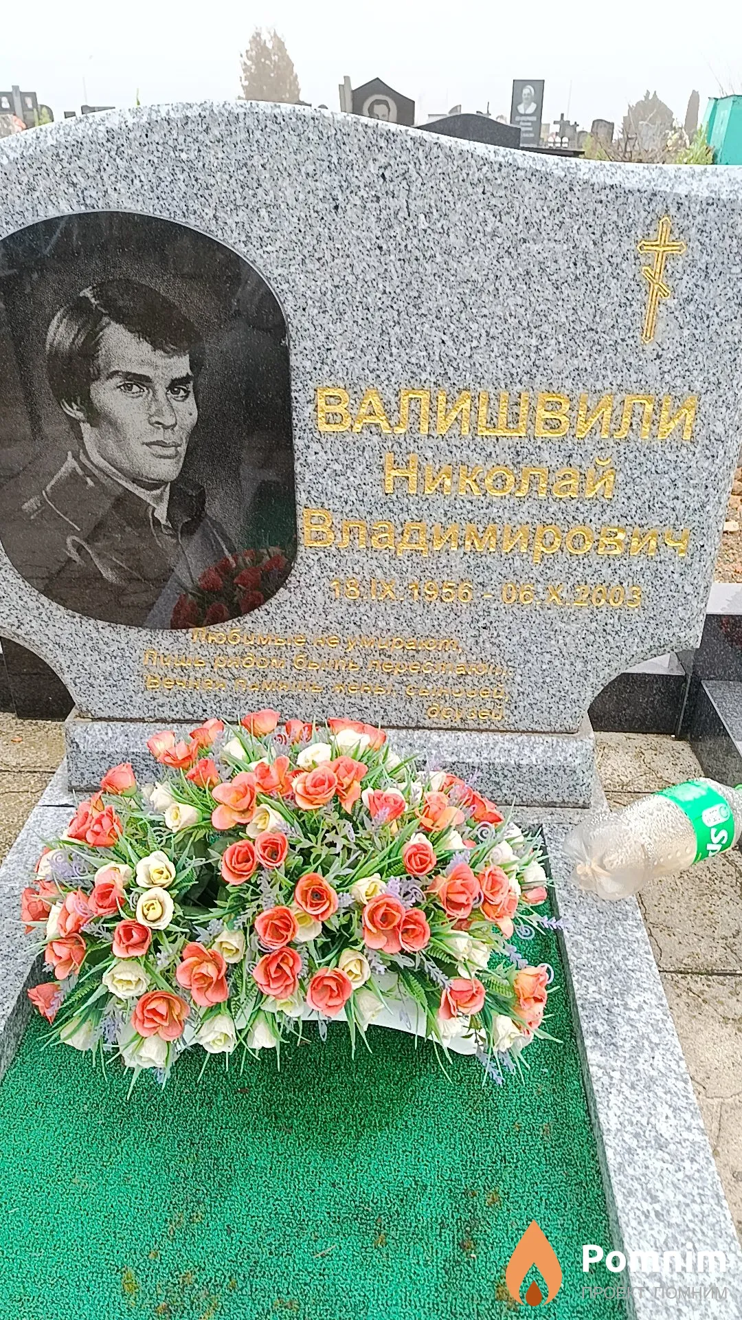 Валишвили Николай Владимирович