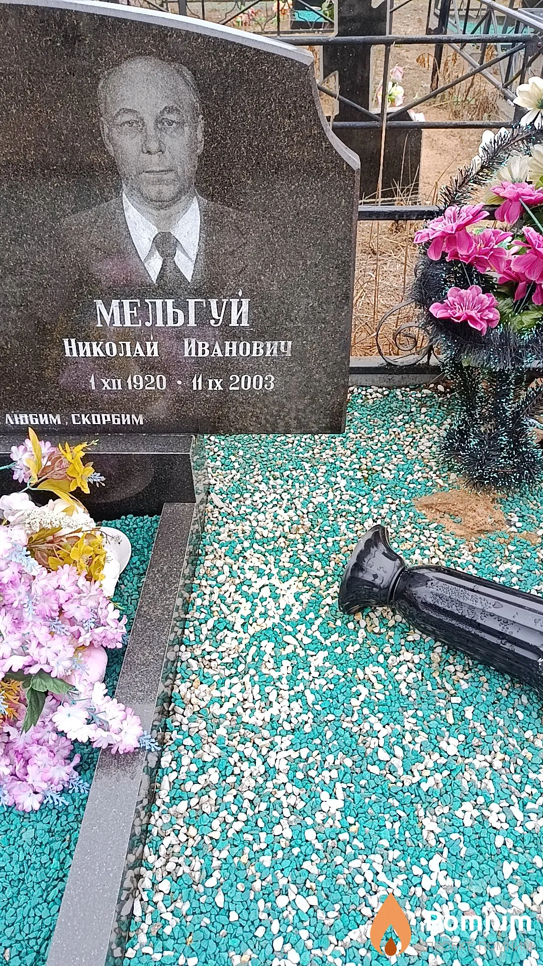 Мельгуй Николай Иванович