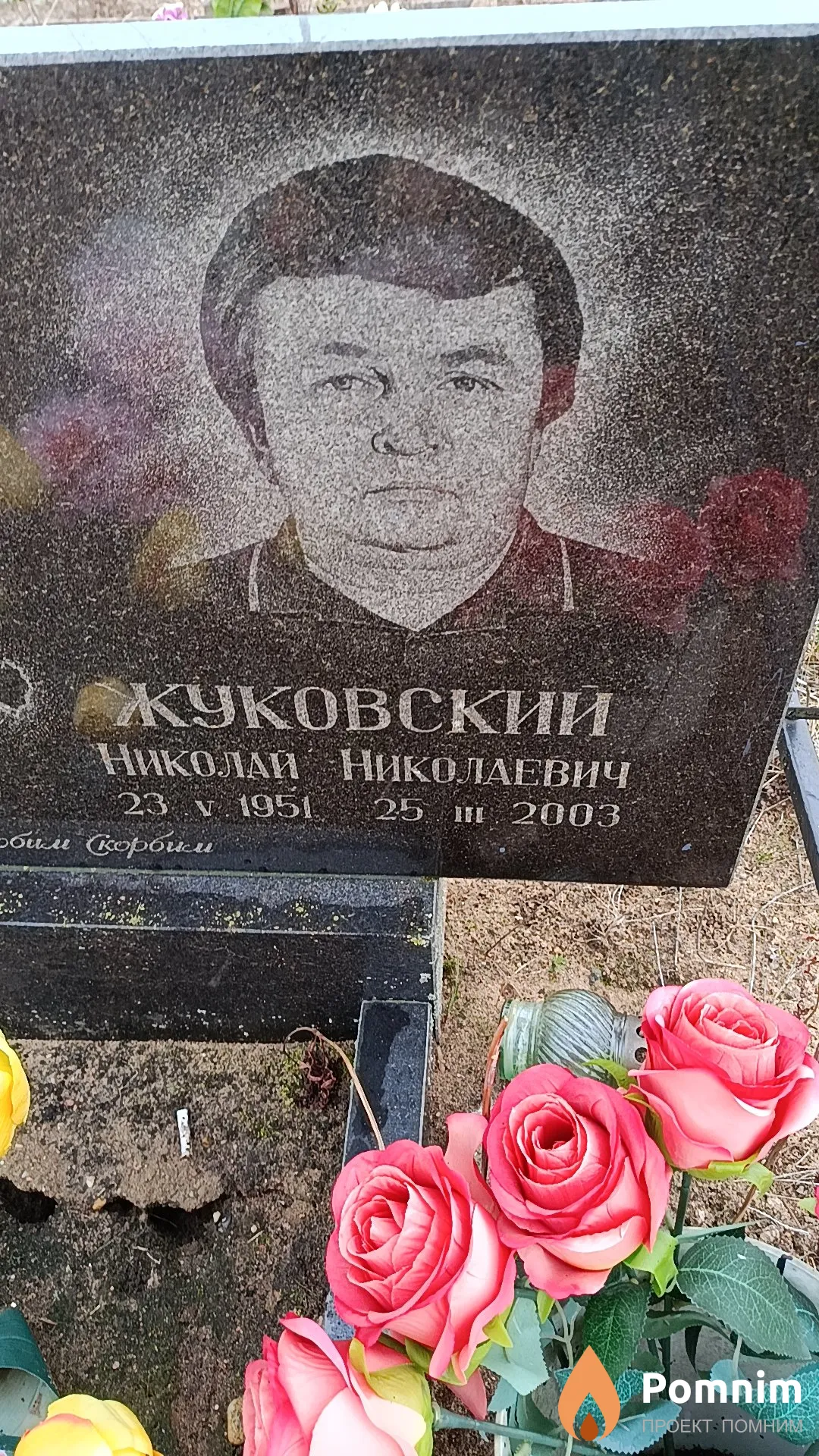 Жуковский Николай Николаевич