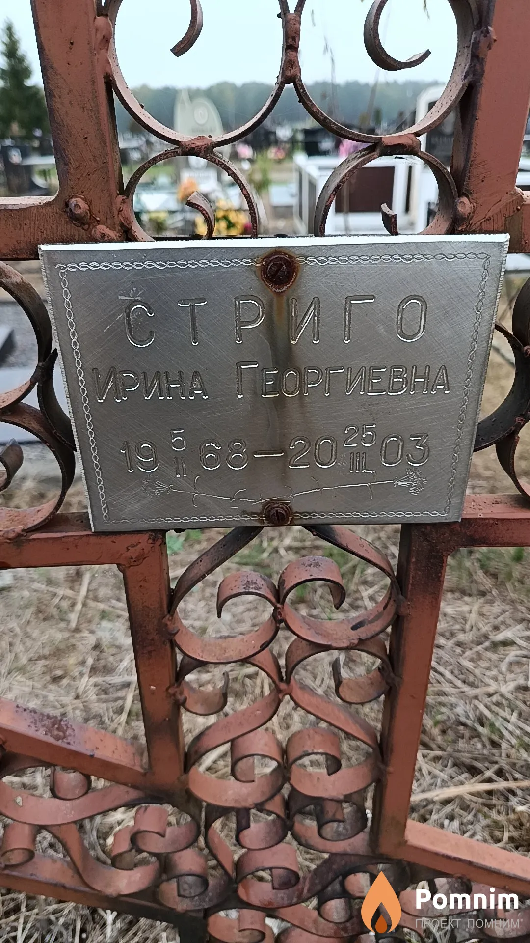 Стриго Ирина Георгиевна