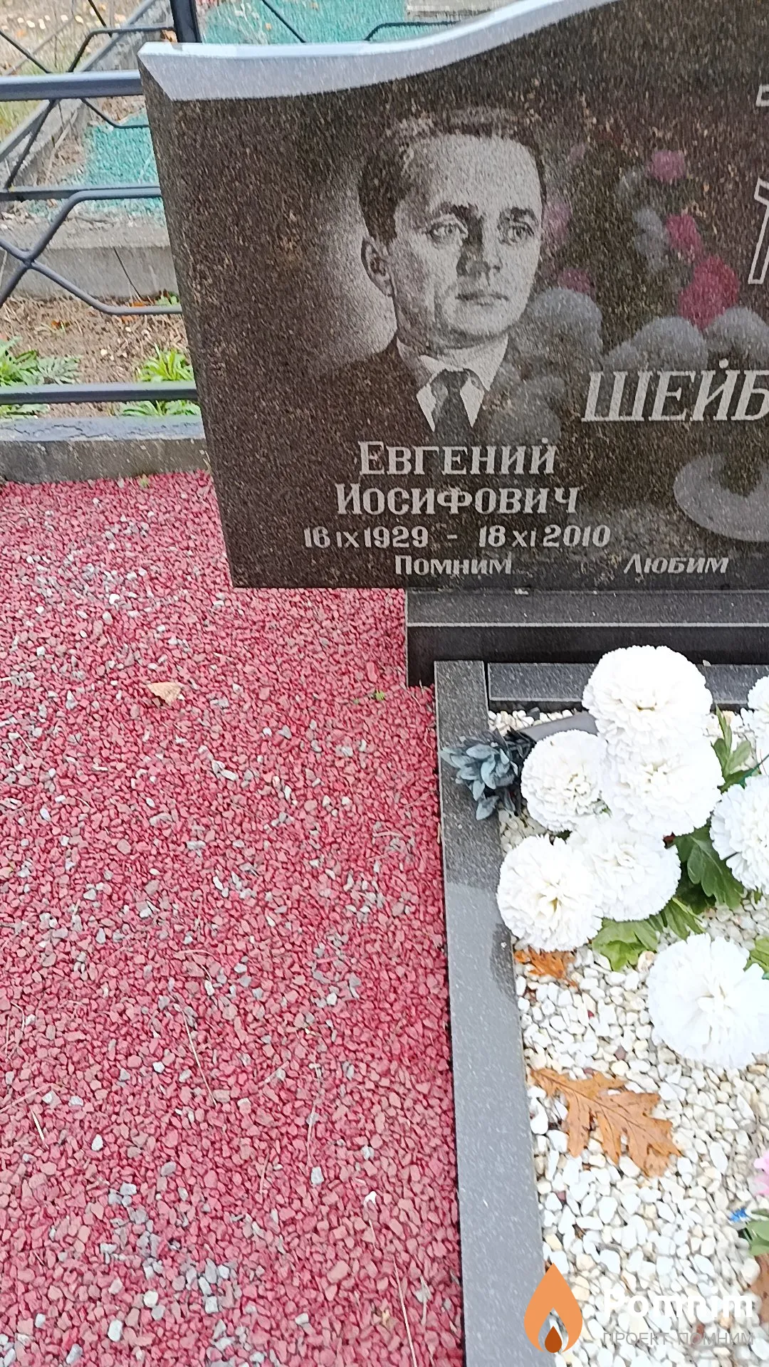 Шейбак Евгений Иосифович