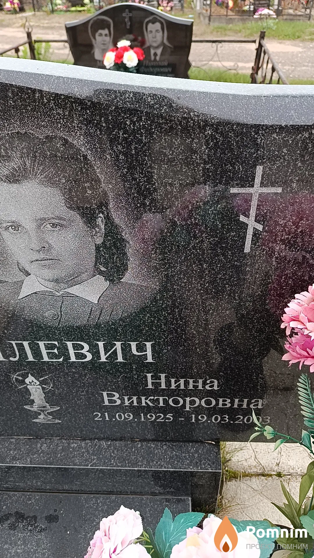 Дегилевич Нина Викторовна