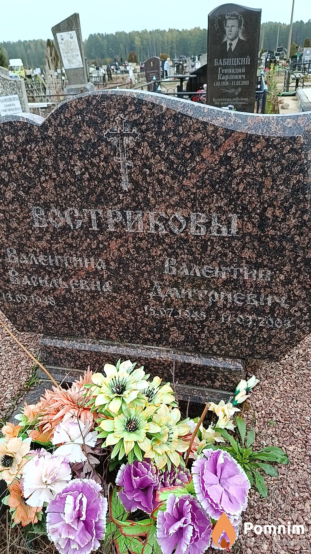 Востриков Валентин Дмитриевич