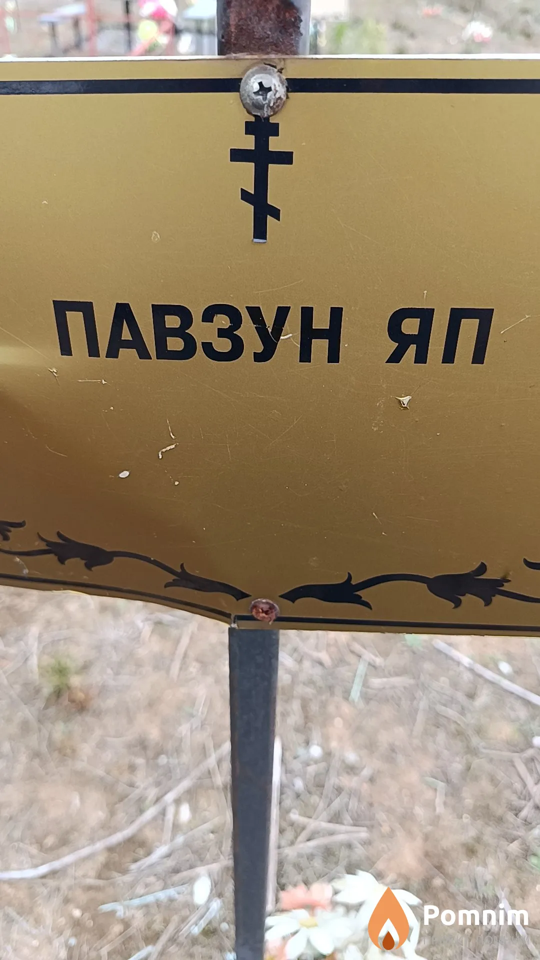 Павзун Я. П.