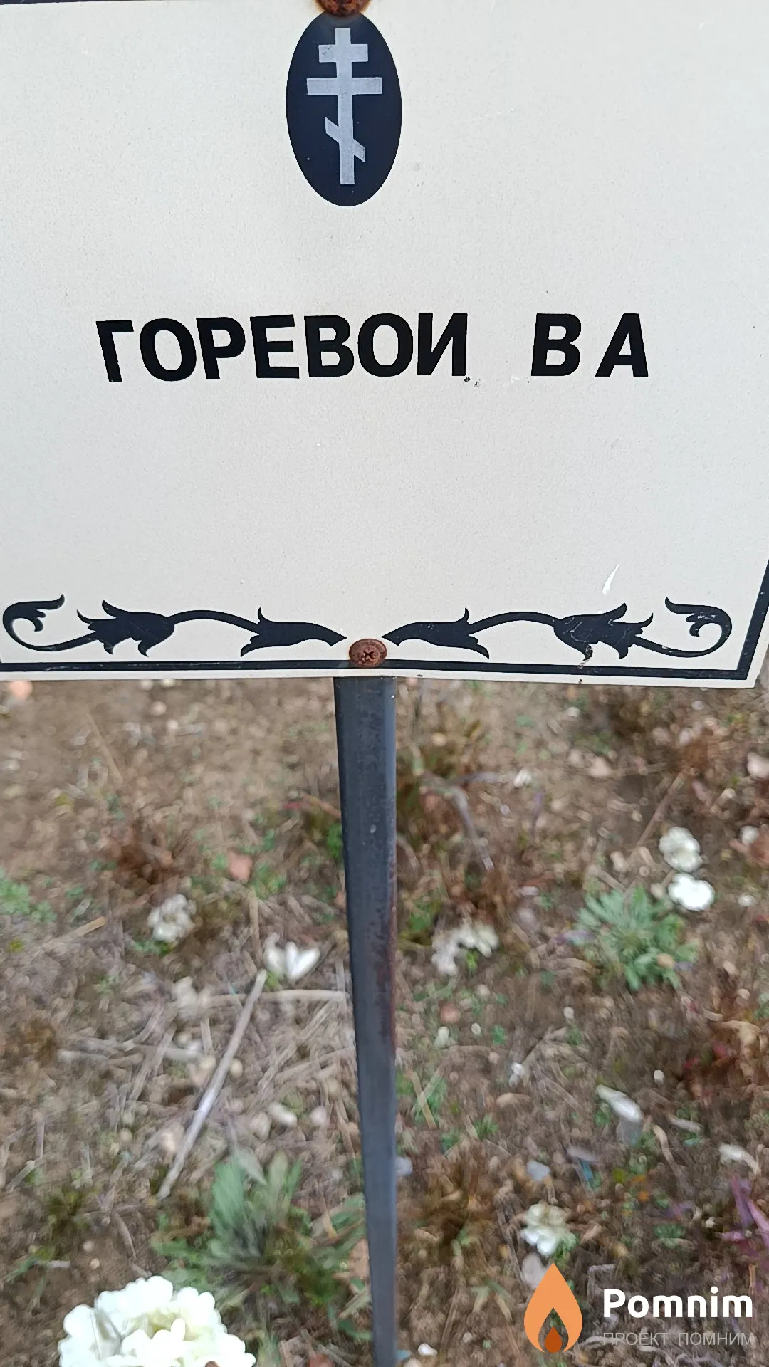 Горевои В. А.