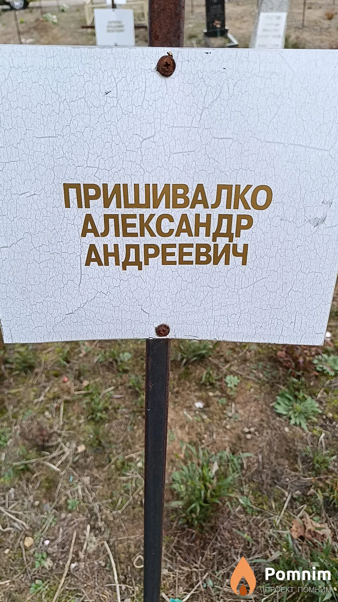 Пришивалко Александр Андреевич