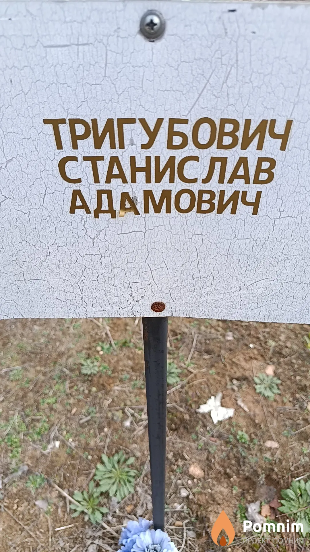 Тригубович Станислав Адамович
